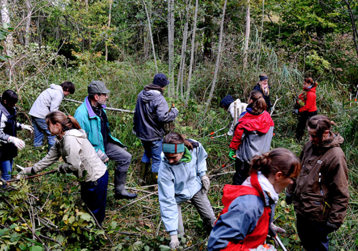 défricher le bois de chênes de genolier
