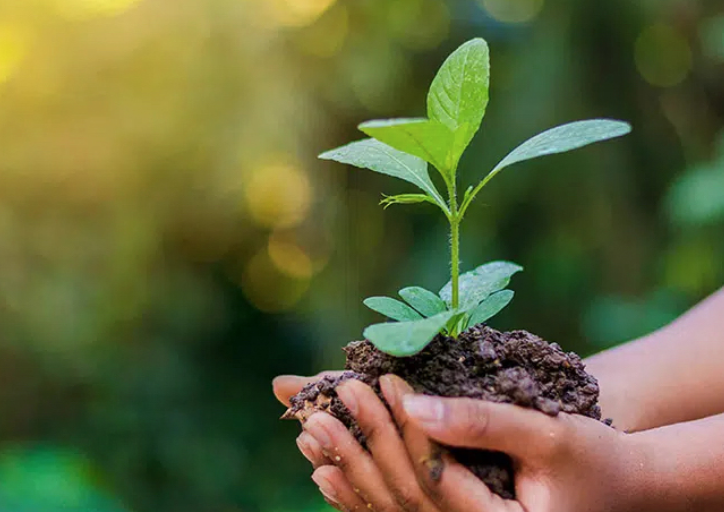 préserver le bois de chênes de genolier