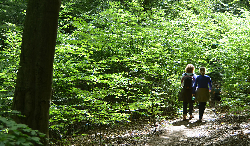 association du bois de chênes de genolier